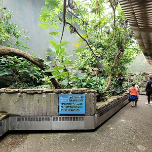 Cincinnati 5/22 - World of Insects, Butterfly walkthrough