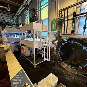 Maritime Aquarium Jellyfish Nursery