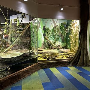 Maritime Aquarium Small Mammal Hall