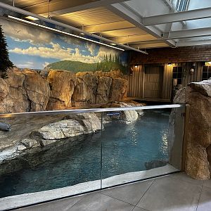 Maritime Aquarium Seal Habitat