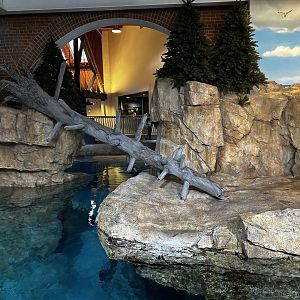 Maritime Aquarium Seal Habitat