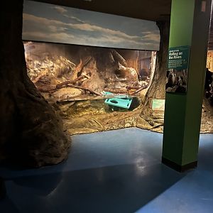 Maritime Aquarium Otter Habitat