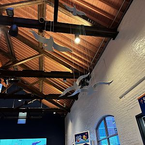 Maritime Aquarium Rafter Decorations