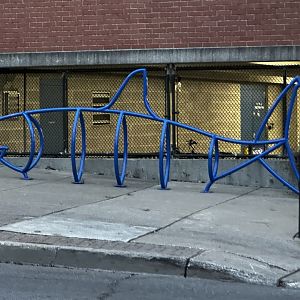 Maritime Aquarium Parking Garage Bike Rack