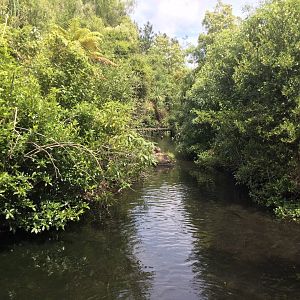 Wild New Zealand Precinct