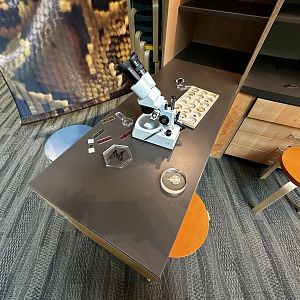 Invasive Area - Education