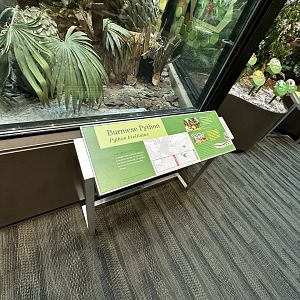 Burmese Python Terrarium