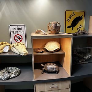 Invasives Area - Education