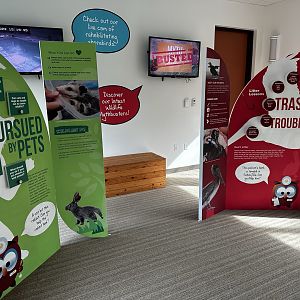 Animal Hospital - Education