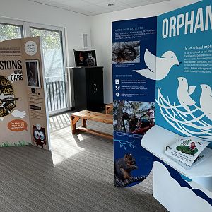 Animal Hospital - Education