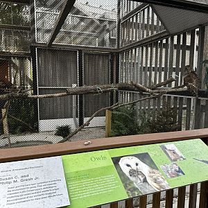 Animal Hospital - Aviary