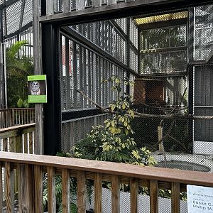 Animal Hospital - Aviary