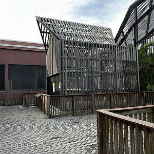 Animal Hospital - Aviary