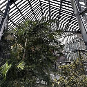 Animal Hospital - Aviary