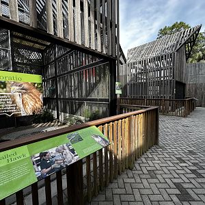 Animal Hospital - Aviary