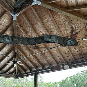 Docks - Oarfish Sculpture