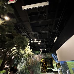 Roof of the Indoor Building