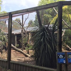 Australasian Aviary 1
