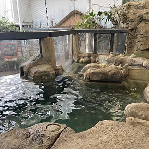 Giant Otter Habitat - Inside View