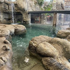Giant Otter Habitat - Inside View
