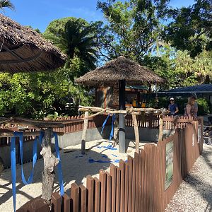 November 2022 - Macaw Landing