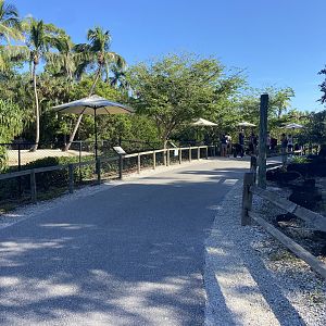 November 2022 - Main Pathway