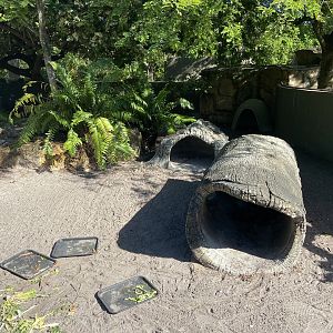 November 2022 - Tortoise Habitat