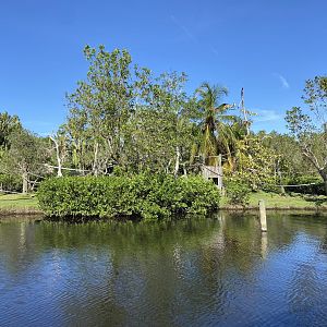 November 2022 - Primate Islands