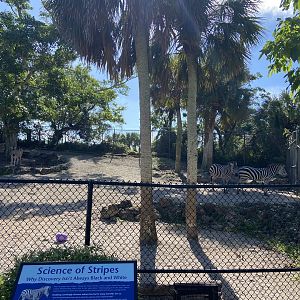 November 2022 - Zebra Habitat