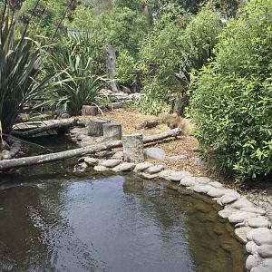 Capybara Exhibit (Small)