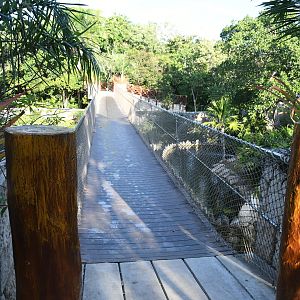 Bridge over Jaguar Exhibit