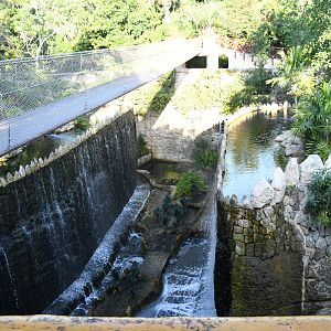 Moat between Puma (right) and Jaguar (left) Exhibits