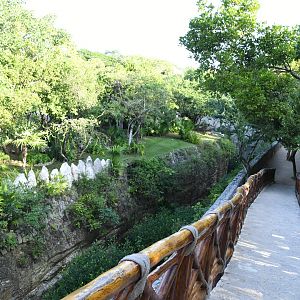 Ramp to the Bridge, and Puma Exhibit