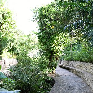 Butterflies Walkthrough