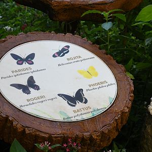 Butterfly Signage