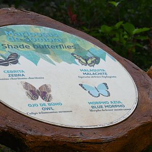 Butterfly Signage
