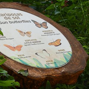 Butterfly Signage