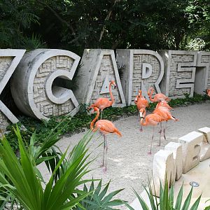 One of Three Flamingo Exhibits