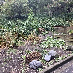 Australian Walk-through Exhibit