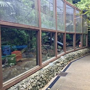 Bolivian Squirrel Monkey Exhibit