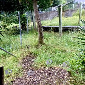 Vacant Exhibit (Old Cheetah Exhibit)