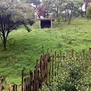 Vacant Exhibit (Old Nyala Exhibit)