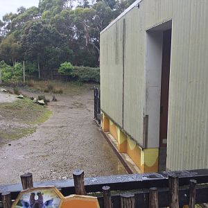 African Savannah - Giraffe Night House