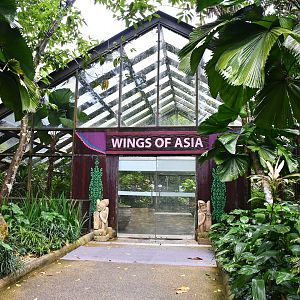 [CLOSED] Wings of Asia