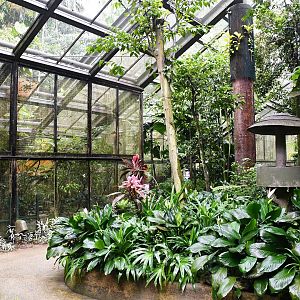 [CLOSED] Wings of Asia