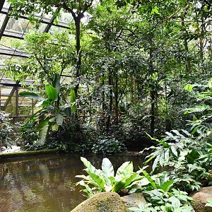 [CLOSED] Wings of Asia