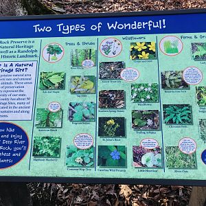 Native Plants Interpretive Sign
