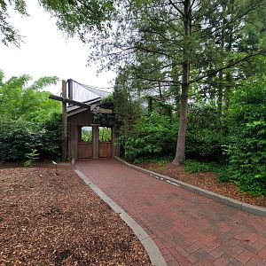 Cincinnati 5/22 - Andean condor