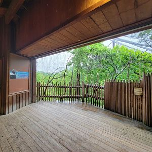 Cincinnati 5/22 - Andean condor