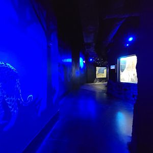 Cincinnati 5/22 - Night Hunters, hallway